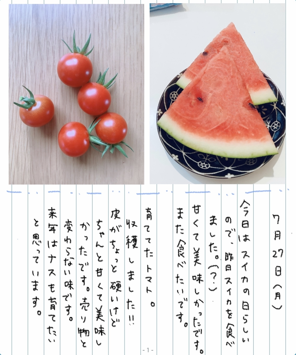 f:id:Nekoten:20200727202545j:plain