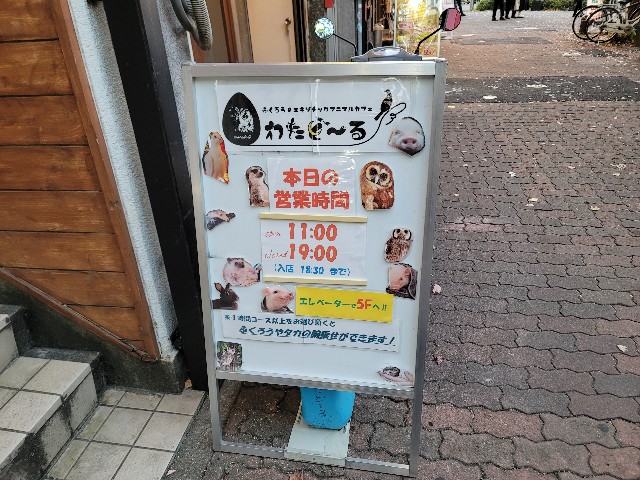 f:id:Nelin:20221221200201j:image f:id:Nelin:20221221200201j:image