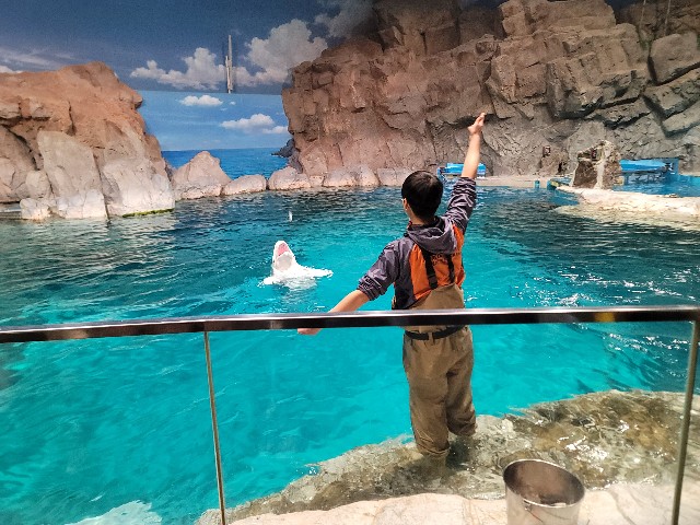 f:id:Nelin:20221221200924j:image f:id:Nelin:20221221200924j:image