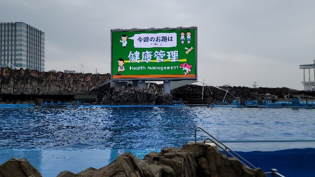 f:id:Nelin:20221221201231j:image f:id:Nelin:20221221201231j:image