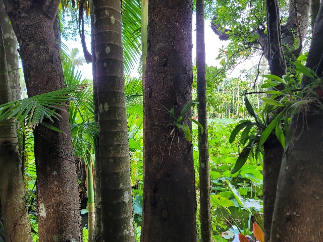 f:id:Nelin:20230708101102j:image f:id:Nelin:20230708101102j:image
