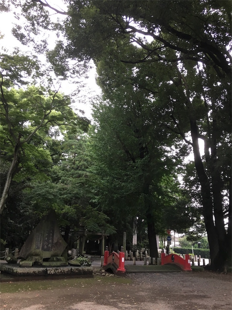 f:id:Nemuna:20160924160616j:image