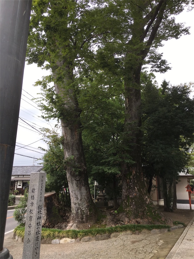 f:id:Nemuna:20161123180619j:image