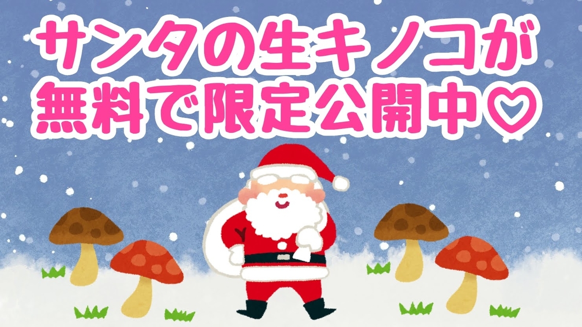f:id:Nemuta:20201225143718j:plain