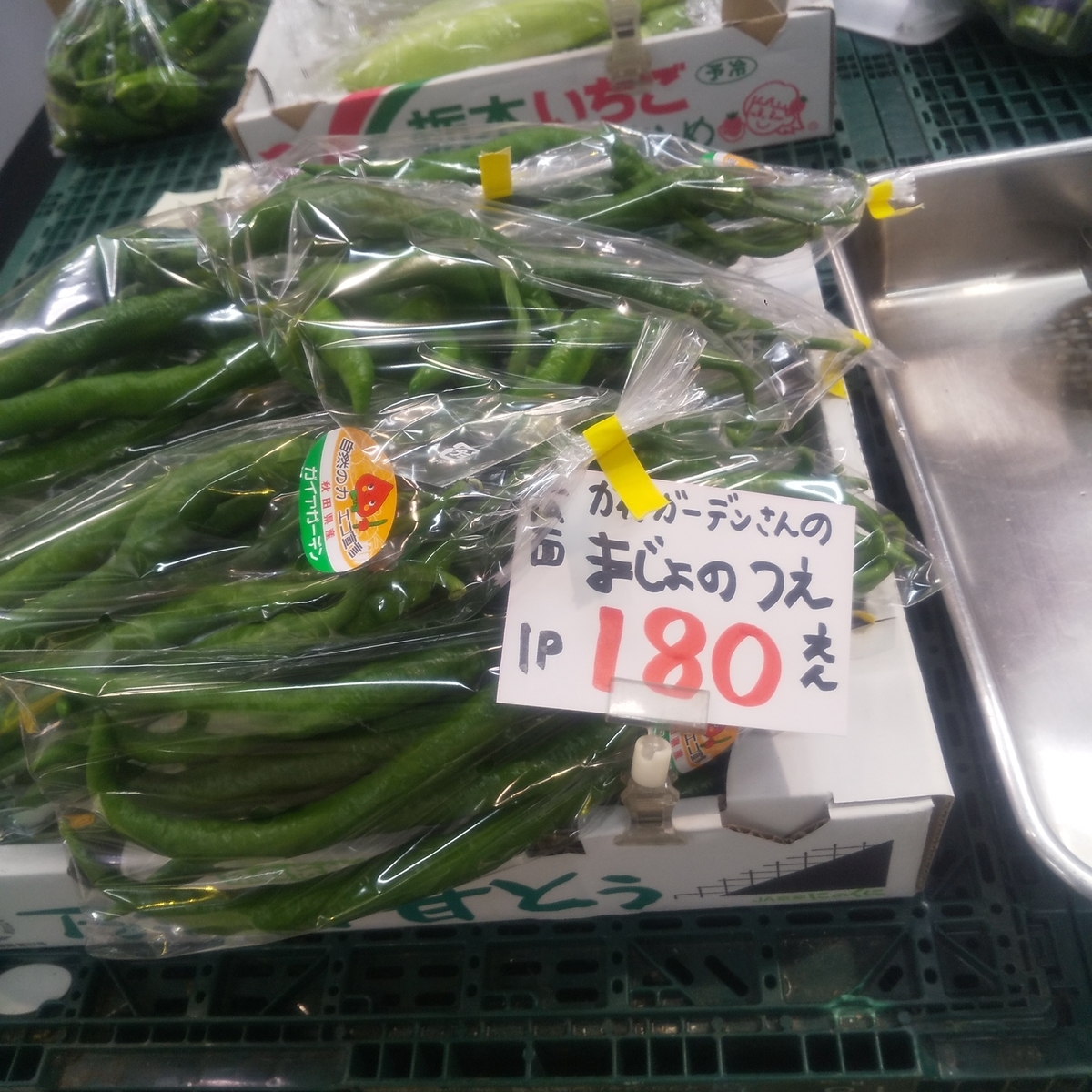f:id:Neo-Culture-journal:20220116155530j:plain