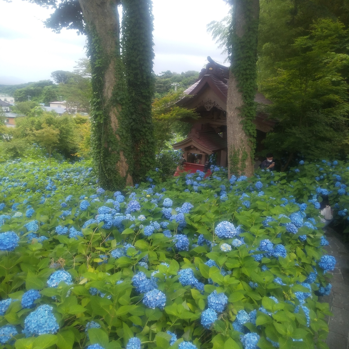 f:id:Neo-Culture-journal:20220116162730j:plain