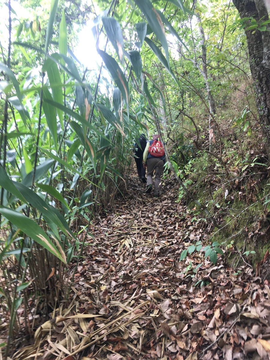 f:id:NepalWatersupply:20190428013634j:plain