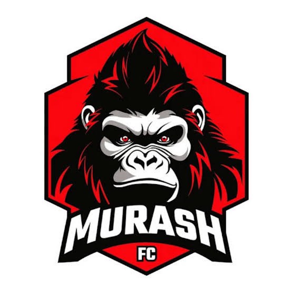 f:id:Nero_jumputi:20250602212713j:image