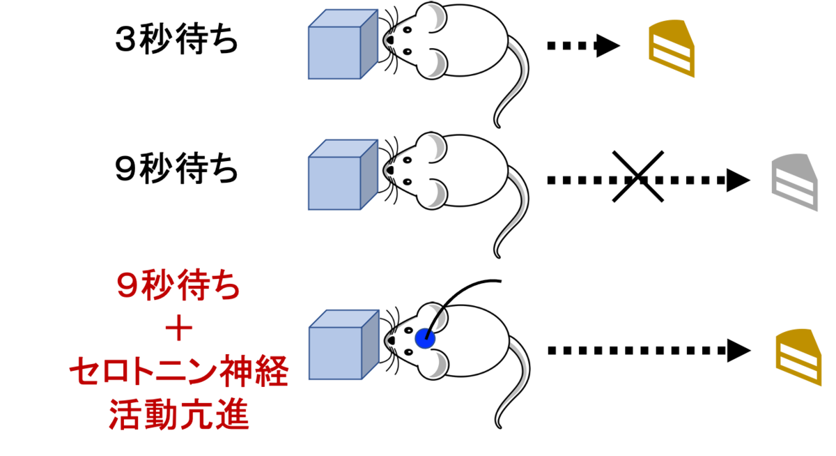 f:id:Neuart:20211207212329p:plain