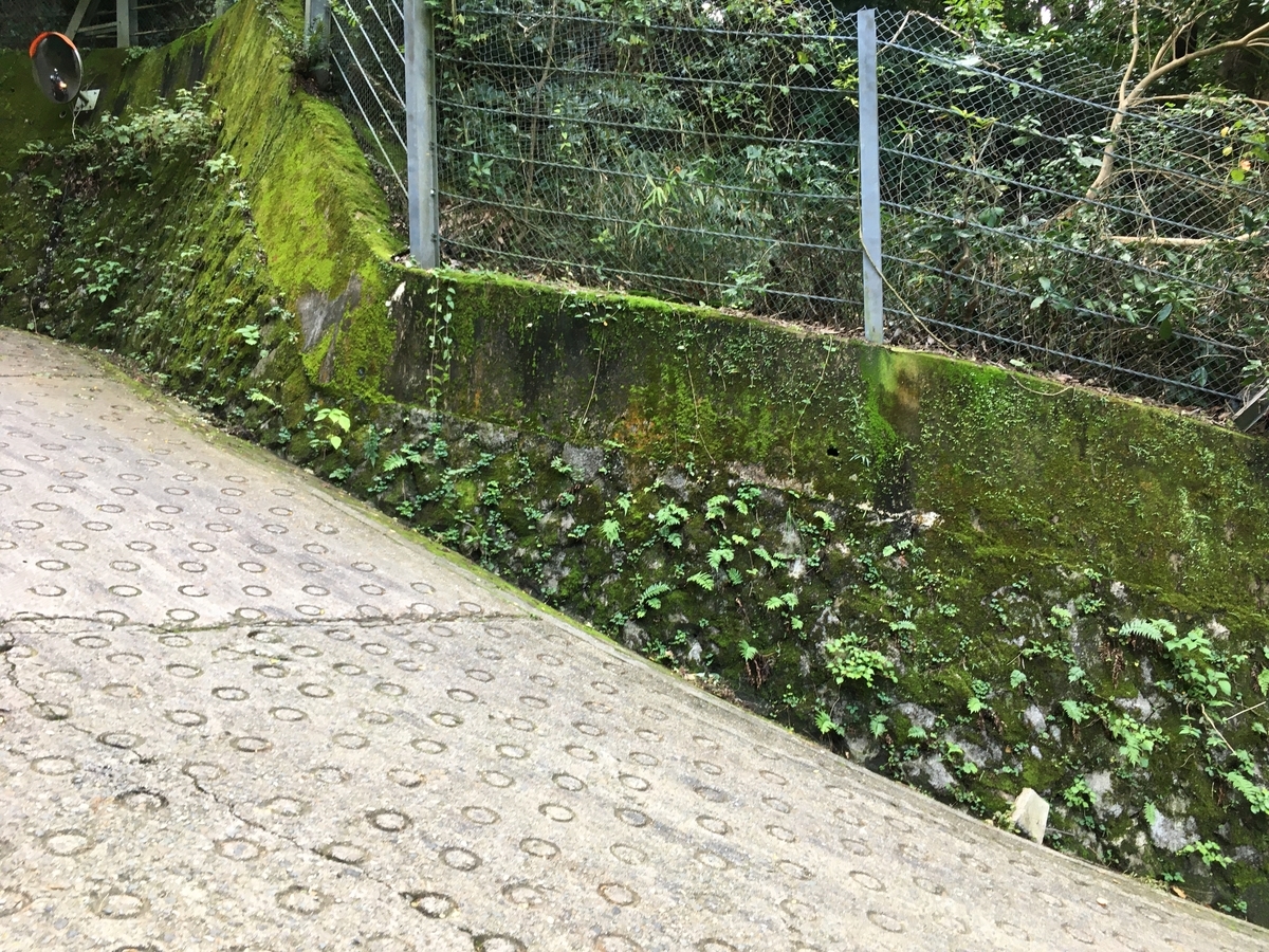 f:id:NeueChemikalie:20191028233302j:plain f:id:NeueChemikalie:20191028233302j:plain
