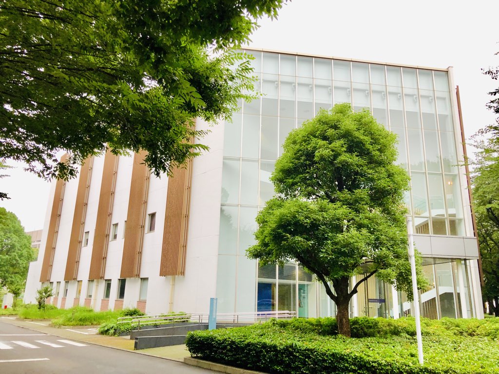 f:id:Neurohedgehog:20191118041704j:plain f:id:Neurohedgehog:20191118041704j:plain