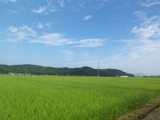 f:id:NewOldStock:20070807084816j:image