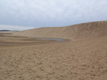 f:id:NewOldStock:20080420010804j:image