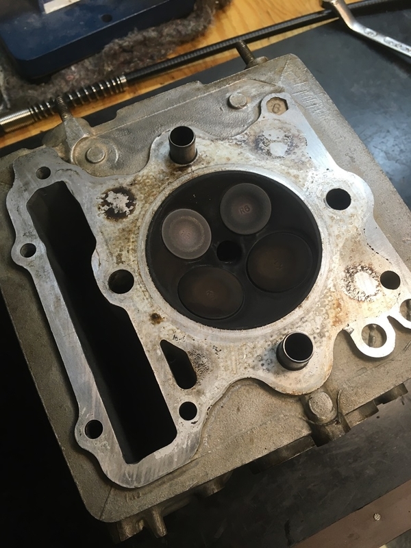 f:id:New_Kazu:20200318215034j:plain f:id:New_Kazu:20200318215034j:plain