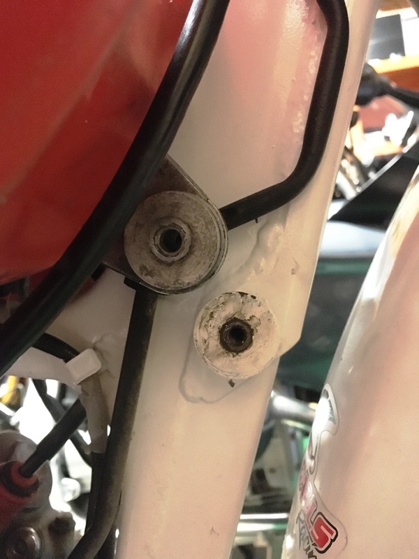 f:id:New_Kazu:20200321084352j:plain f:id:New_Kazu:20200321084352j:plain