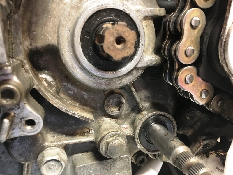 f:id:New_Kazu:20200502215052j:plain f:id:New_Kazu:20200502215052j:plain