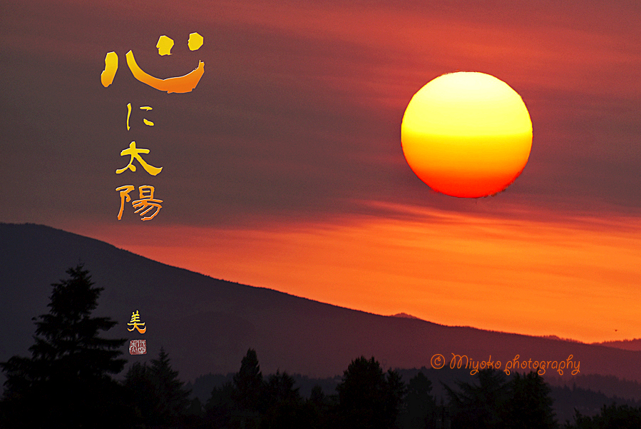 f:id:Newday:20210702115225j:plain