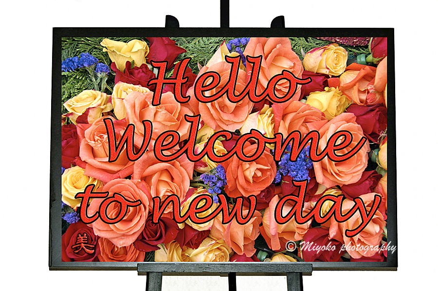 f:id:Newday:20210715130929j:plain