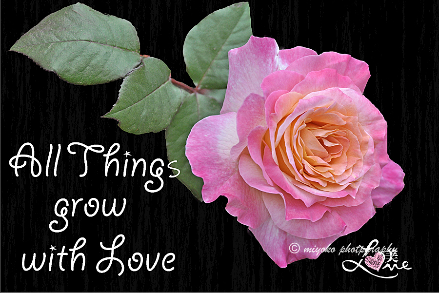 f:id:Newday:20210727140620j:plain