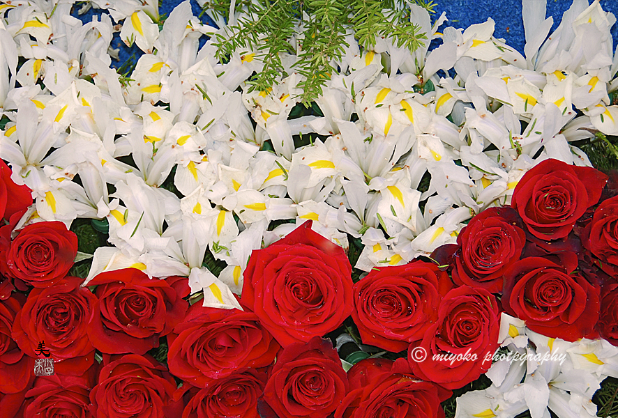 f:id:Newday:20210821132825j:plain