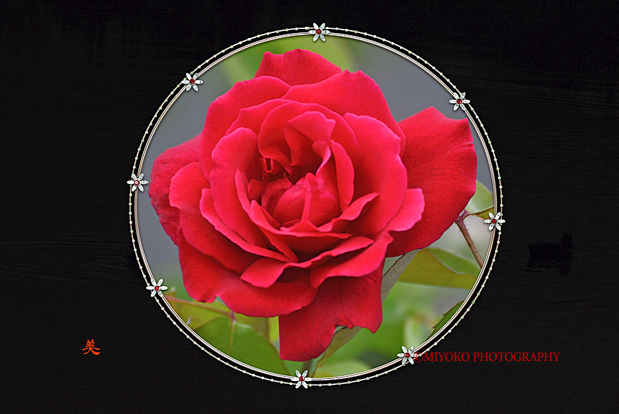 f:id:Newday:20211012123524j:plain