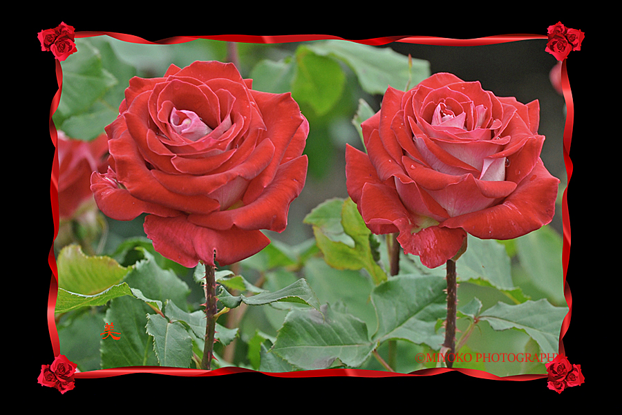 f:id:Newday:20211012123547j:plain