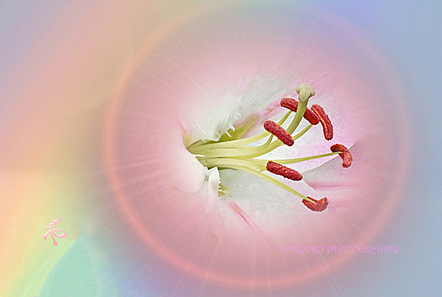 f:id:Newday:20211112082043j:plain