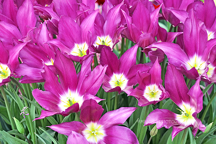 f:id:Newday:20211206141540j:plain