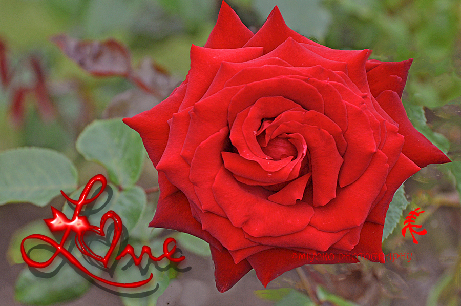 f:id:Newday:20211211142344j:plain