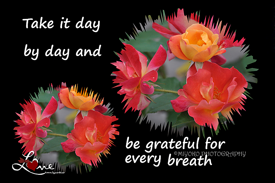 f:id:Newday:20220103141352j:plain