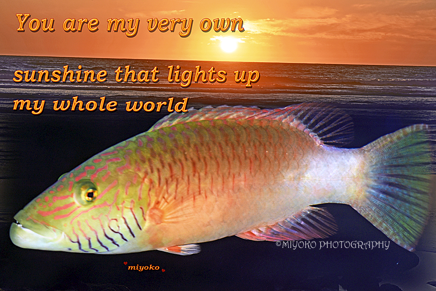 f:id:Newday:20220111120954j:plain