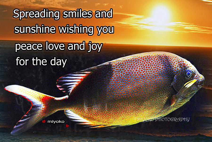 f:id:Newday:20220111121030j:plain