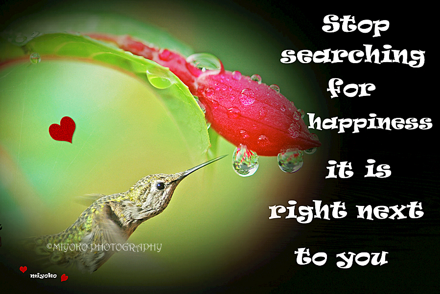 f:id:Newday:20220112145540j:plain