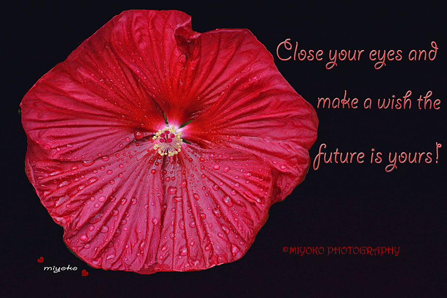 f:id:Newday:20220112145718j:plain
