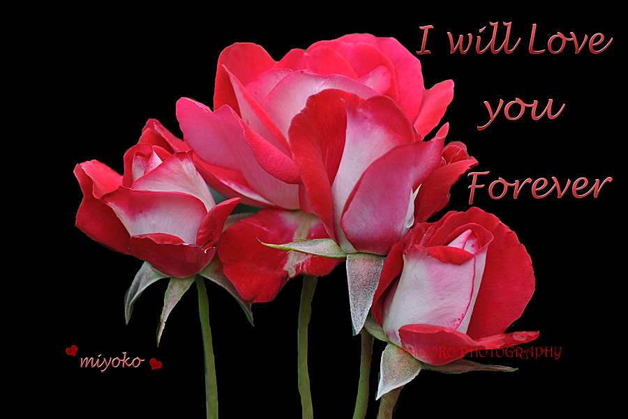 f:id:Newday:20220209031811j:plain