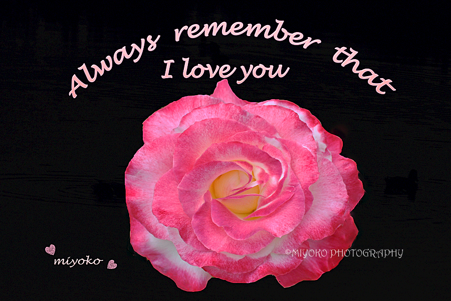 f:id:Newday:20220209031831j:plain