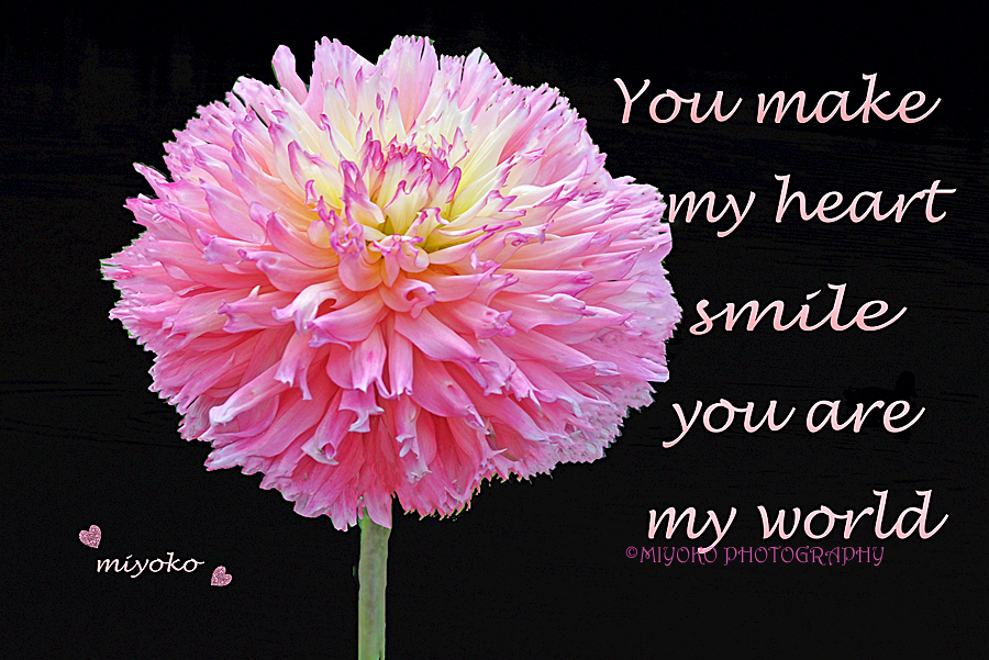 f:id:Newday:20220209041402j:plain