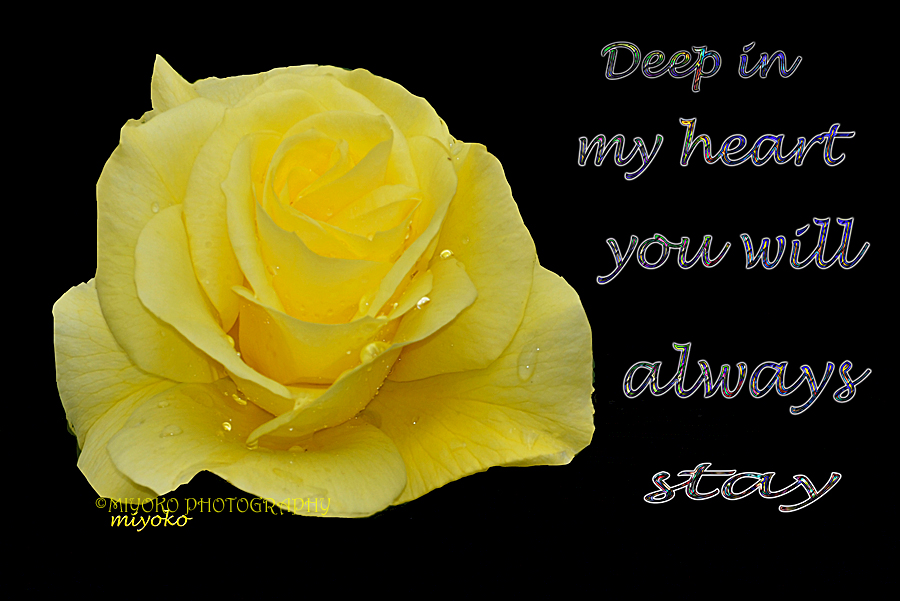f:id:Newday:20220209135001j:plain