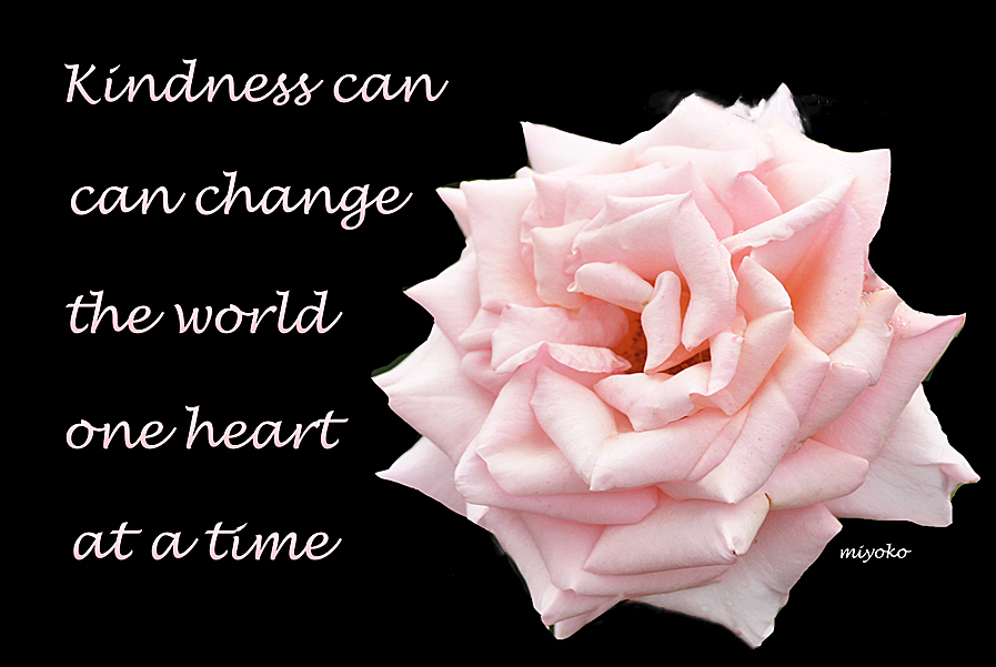 f:id:Newday:20220215141655j:plain