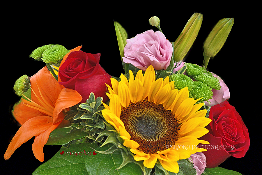 f:id:Newday:20220224121552j:plain