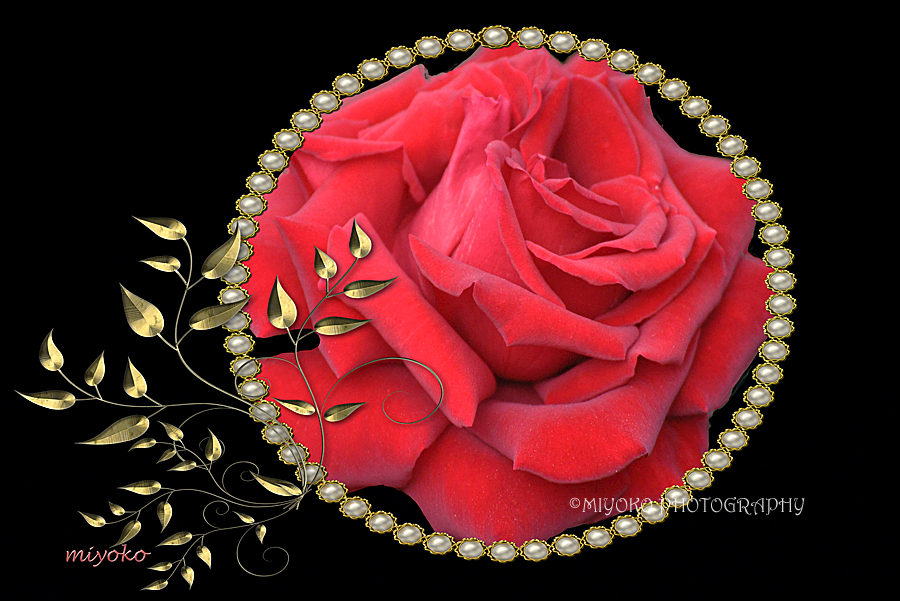 f:id:Newday:20220224144341j:plain