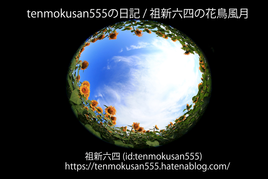 f:id:Newday:20220312144056j:plain