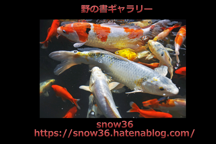 f:id:Newday:20220312154951j:plain