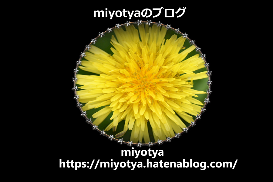f:id:Newday:20220312155845j:plain