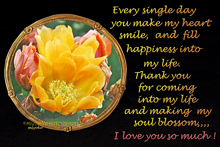 f:id:Newday:20220327134519j:plain