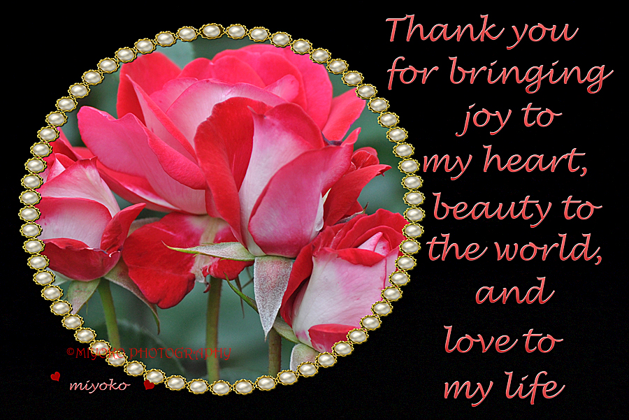 f:id:Newday:20220327134601j:plain