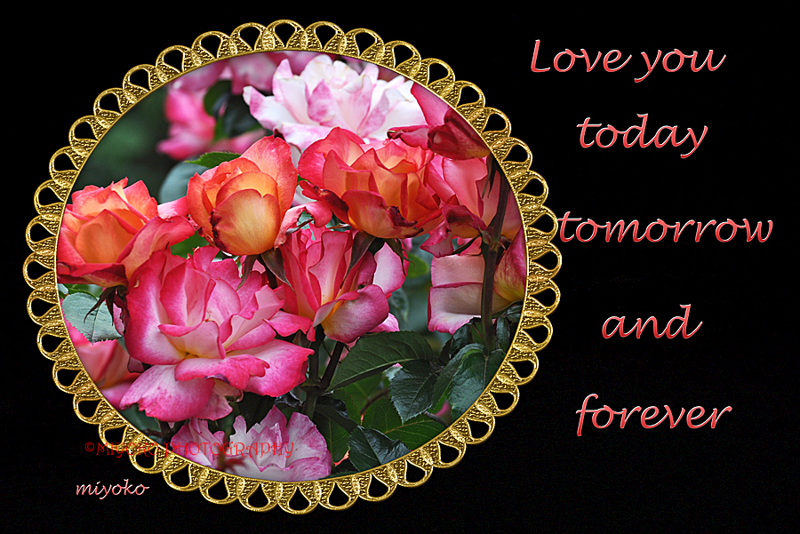 f:id:Newday:20220327135026j:plain