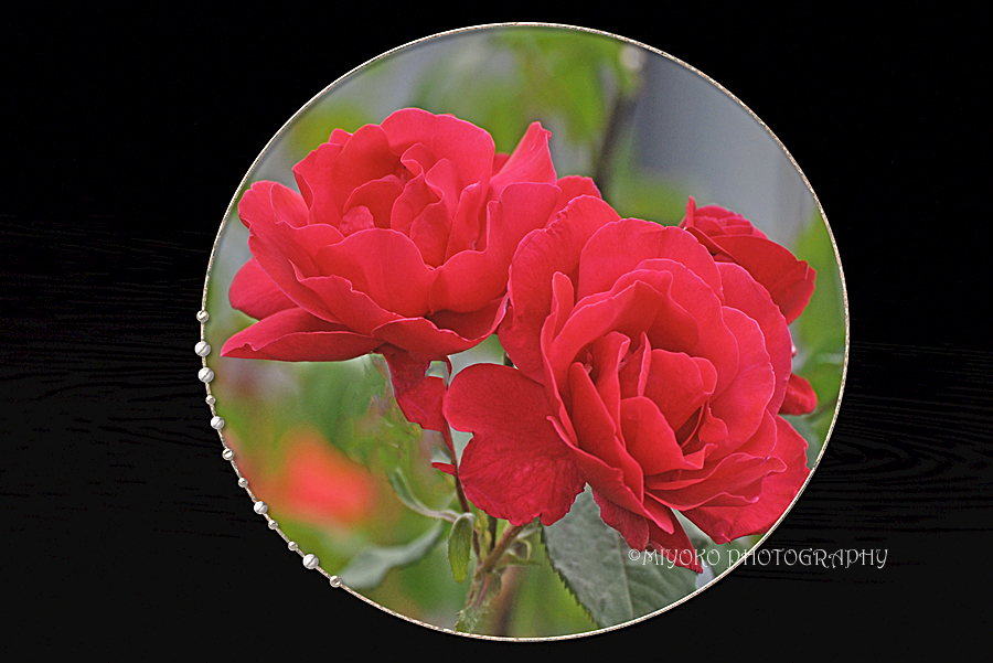 f:id:Newday:20220406132214j:plain