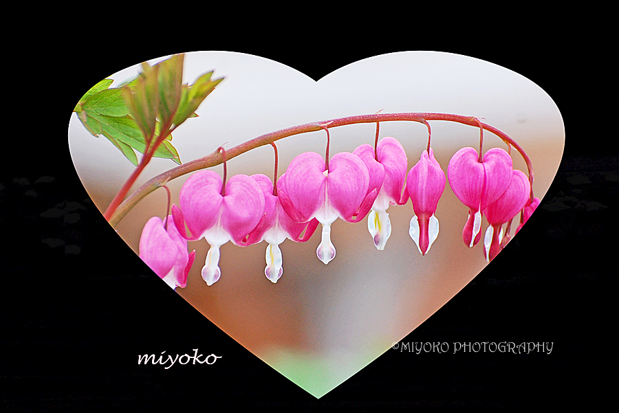 f:id:Newday:20220411124649j:plain