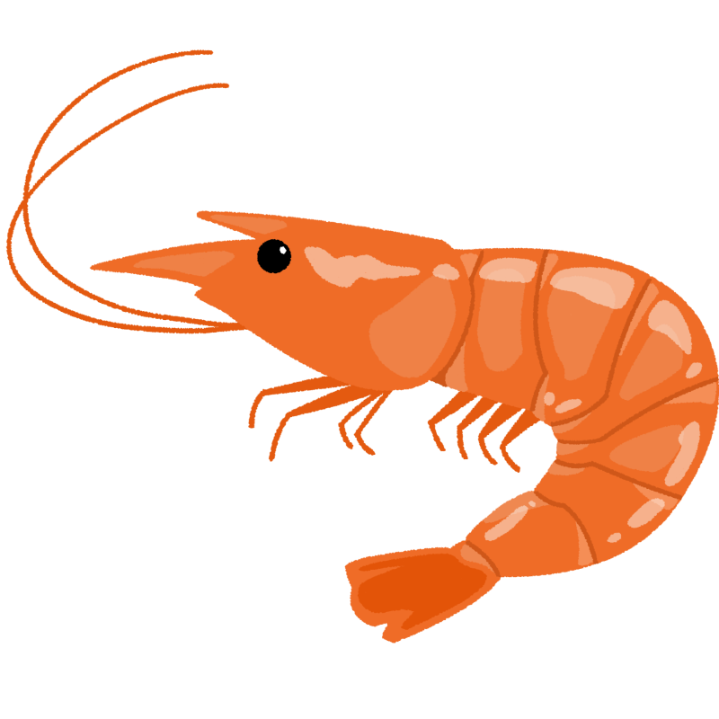 エビのフリーイラスト素材 無料のイラスト素材 タダ絵 エビのフリーイラスト素材 無料のイラスト素材 タダ絵